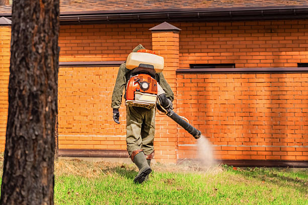Bed Bug Clearance Verification and Documentation in Deltona